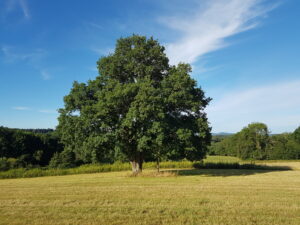 Accompagnement aux pathologies lourdes